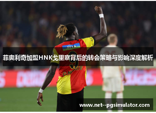 菲奥利奇加盟HNK戈里察背后的转会策略与影响深度解析