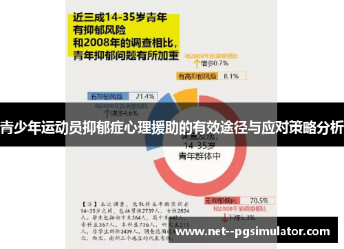 青少年运动员抑郁症心理援助的有效途径与应对策略分析