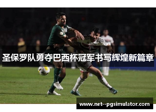 圣保罗队勇夺巴西杯冠军书写辉煌新篇章